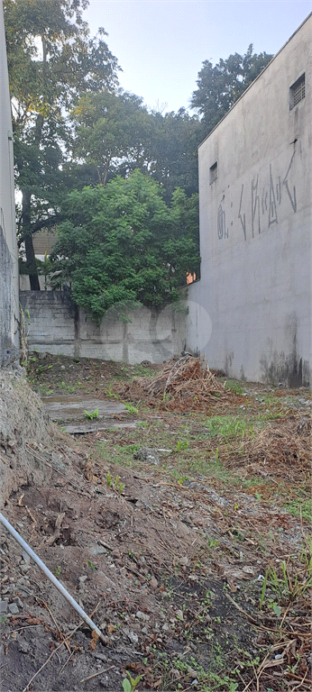 Venda Terreno São Paulo Vila Albertina REO820220 6