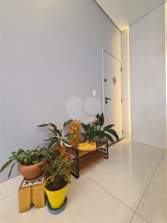 Venda Apartamento São Paulo Cambuci REO820298 51