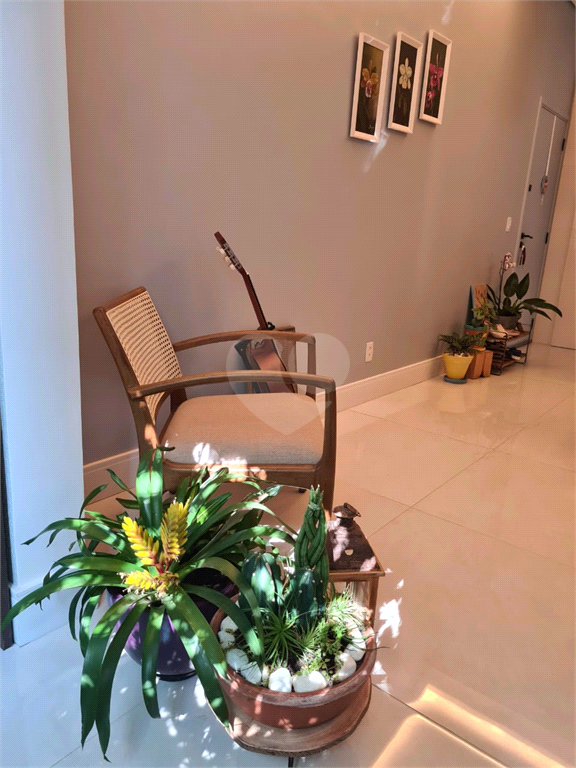 Venda Apartamento São Paulo Cambuci REO820298 7