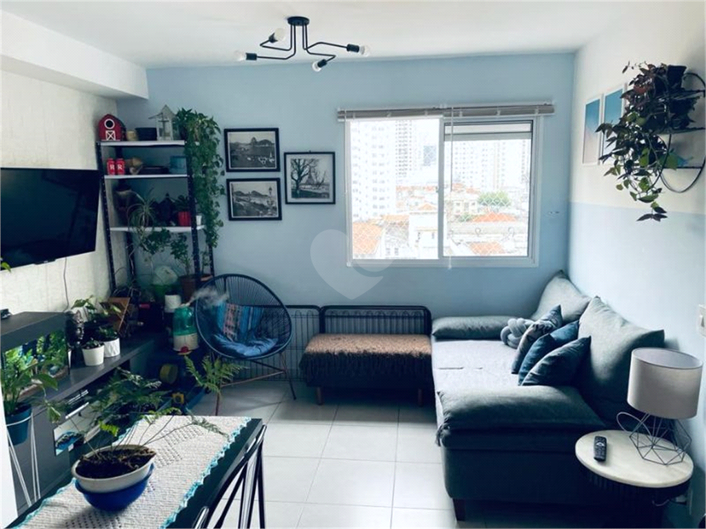 Venda Apartamento São Paulo Cambuci REO820310 1