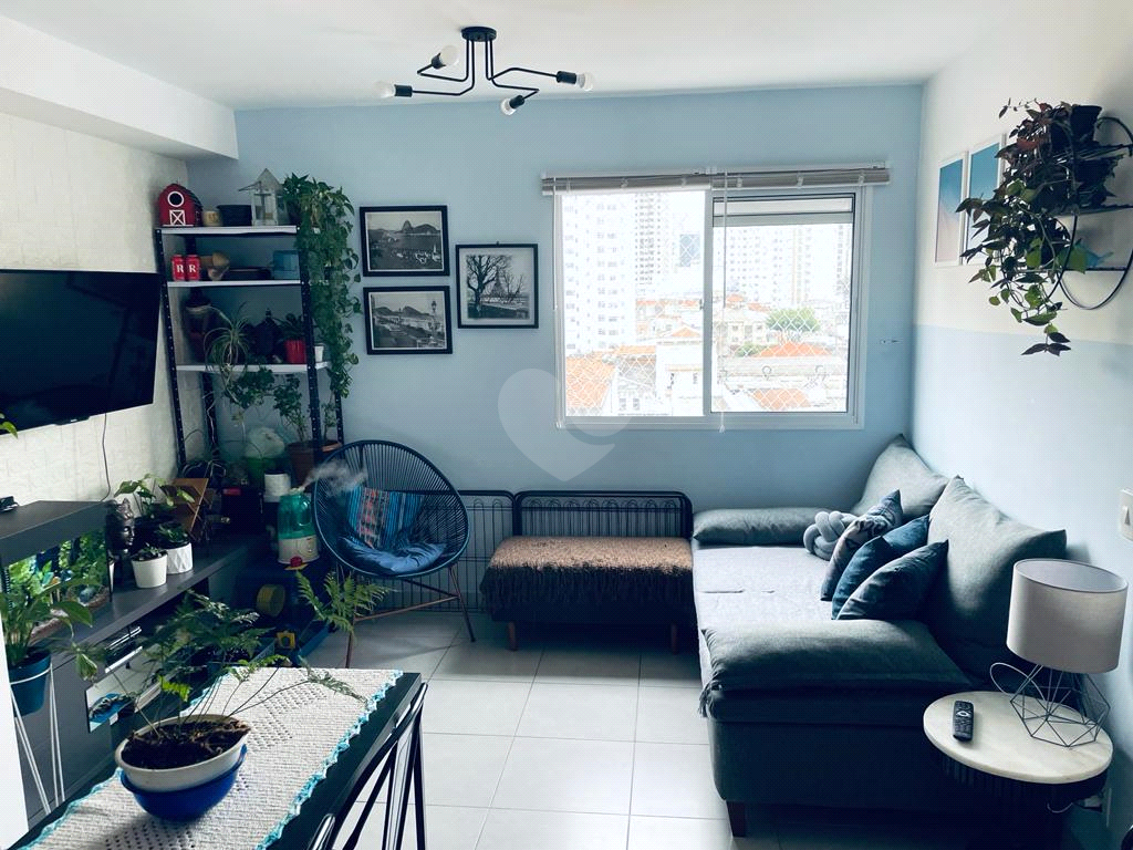 Venda Apartamento São Paulo Cambuci REO820310 2