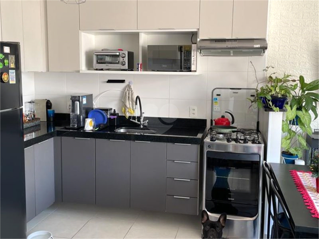 Venda Apartamento São Paulo Cambuci REO820310 4