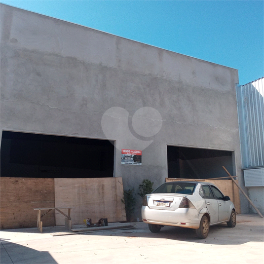 Foto REO820351
