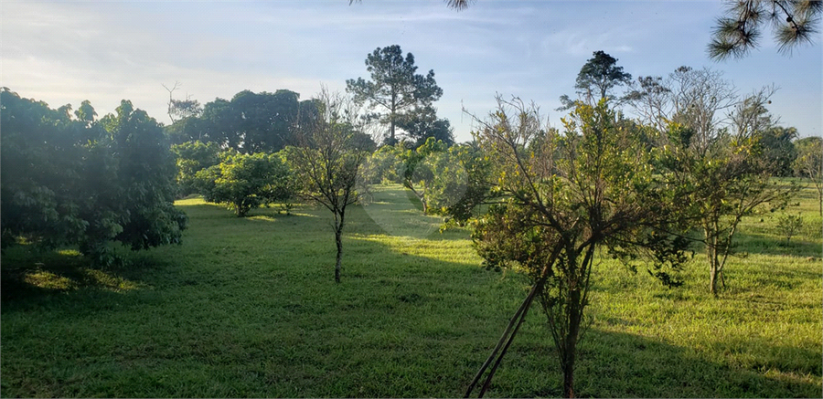 Venda Chácara Mogi Das Cruzes Área Rural De Mogi Das Cruzes REO820374 14