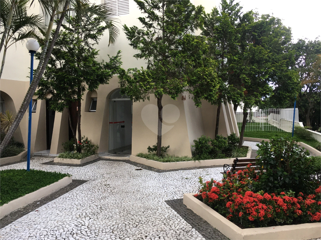 Venda Apartamento São Paulo Cambuci REO820377 21