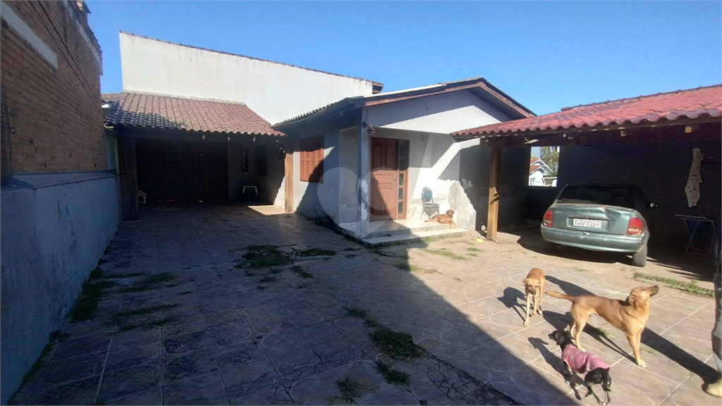 Venda Casa Gravataí Girassol REO820600 14