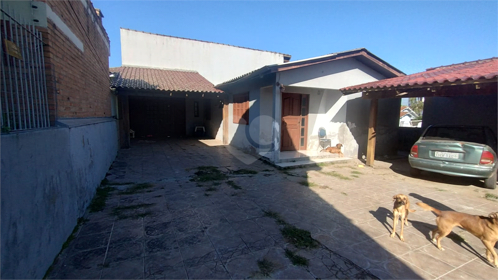 Venda Casa Gravataí Girassol REO820600 2