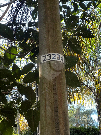 Foto REO820688