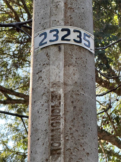 Foto REO820688