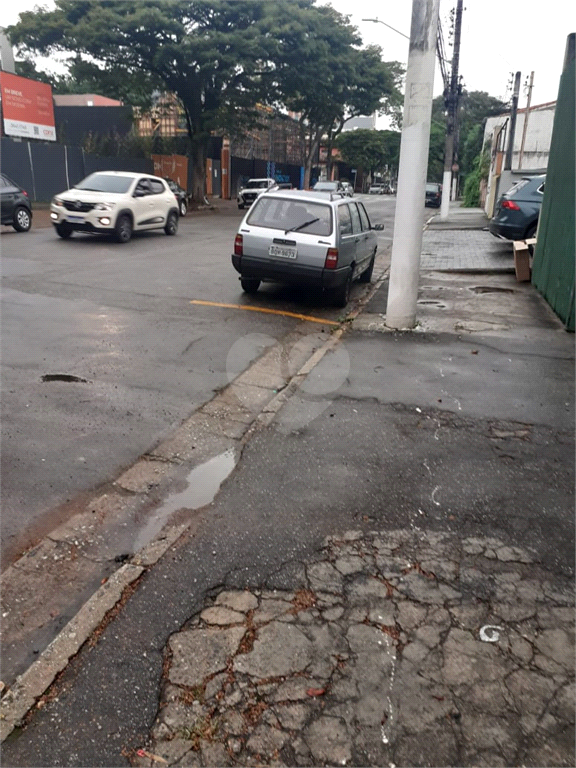 Aluguel Terreno São Paulo Indianópolis REO820856 3