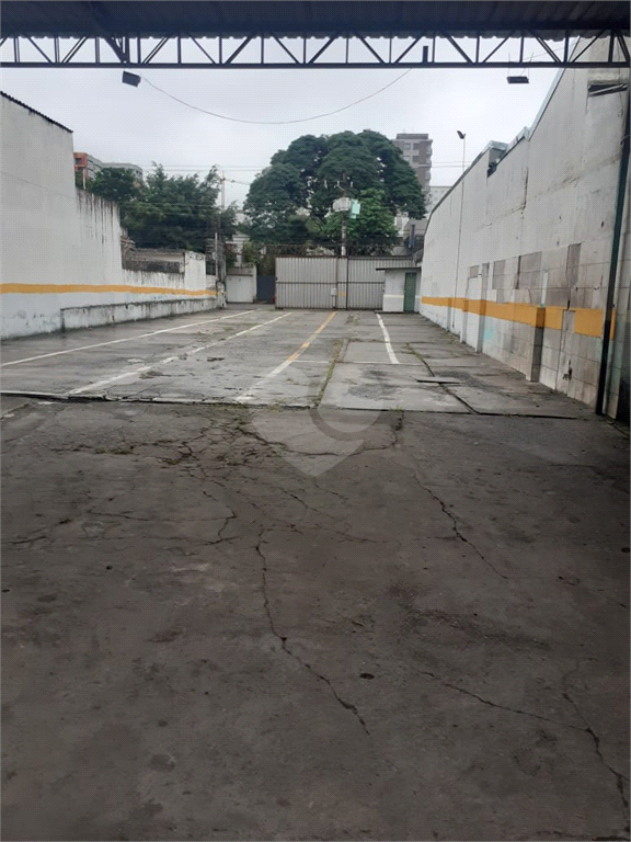 Aluguel Terreno São Paulo Indianópolis REO820856 4