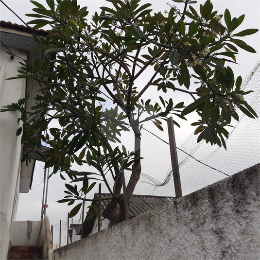 Venda Terreno São Paulo Água Fria REO821119 12