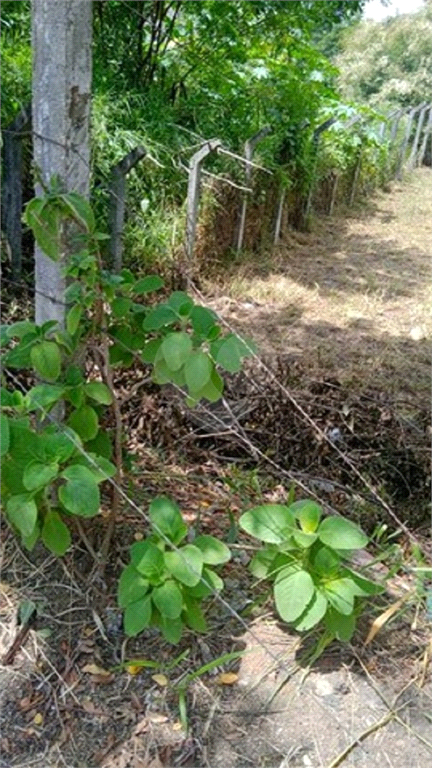 Venda Terreno Itu Parque São Camilo REO821169 3