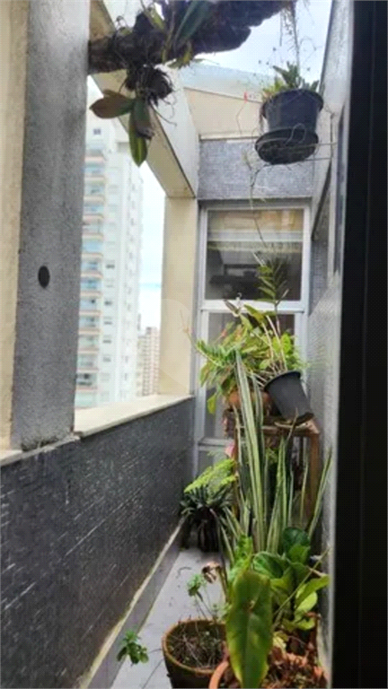 Venda Apartamento São Paulo Vila Mariana REO821484 27