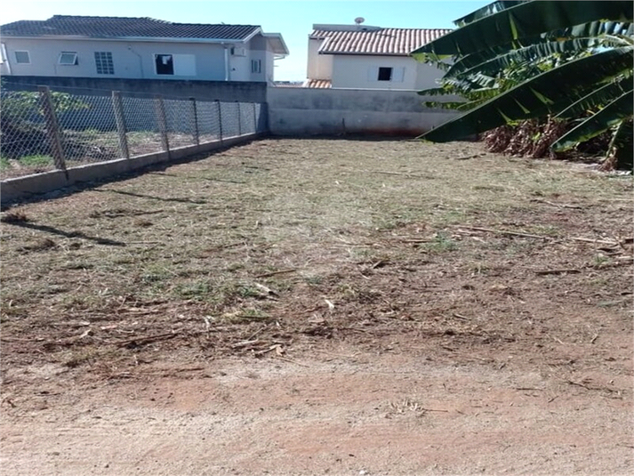 Foto REO821588
