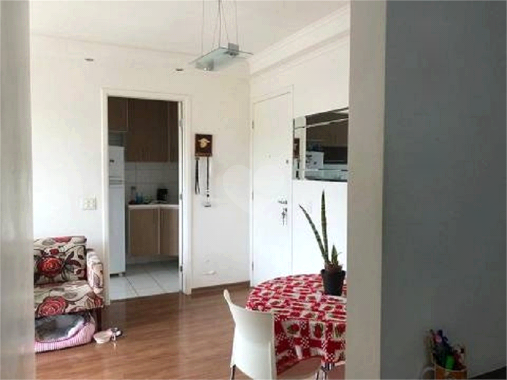 Venda Apartamento São Paulo Vila Butantã REO821756 1