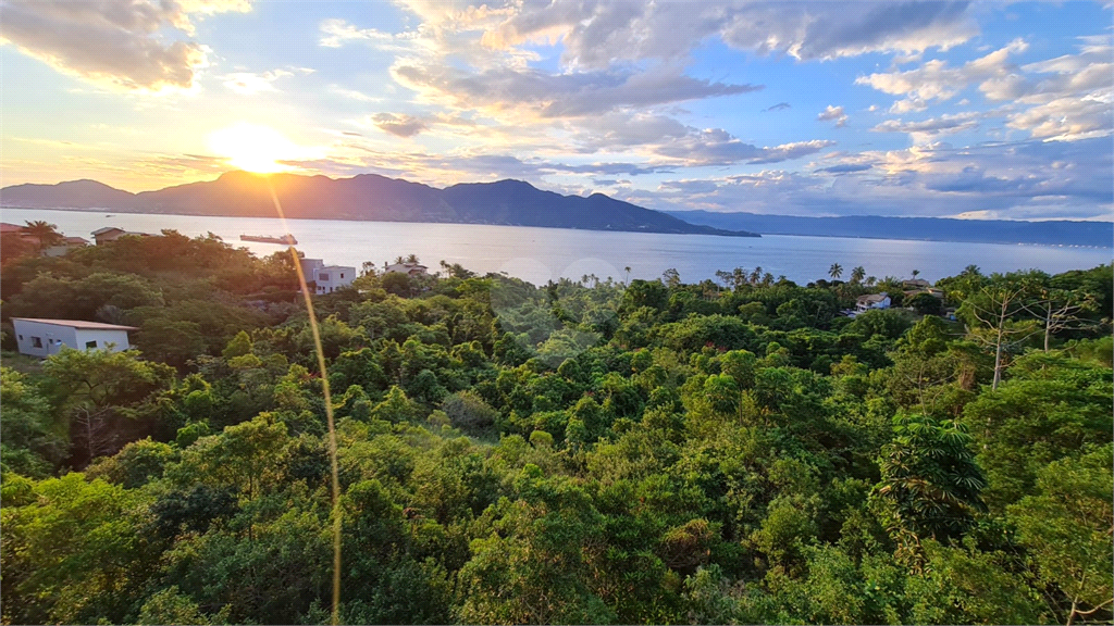 Venda Terreno Ilhabela Siriúba REO821860 4