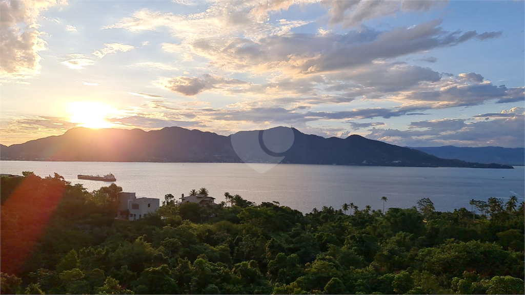 Venda Terreno Ilhabela Siriúba REO821860 7