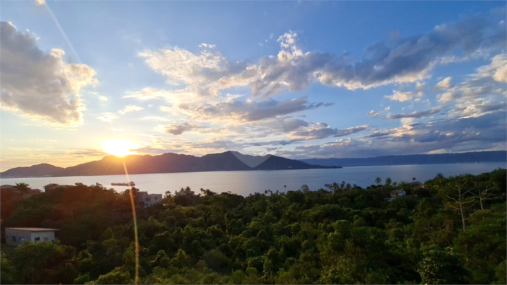 Venda Terreno Ilhabela Siriúba REO821860 8