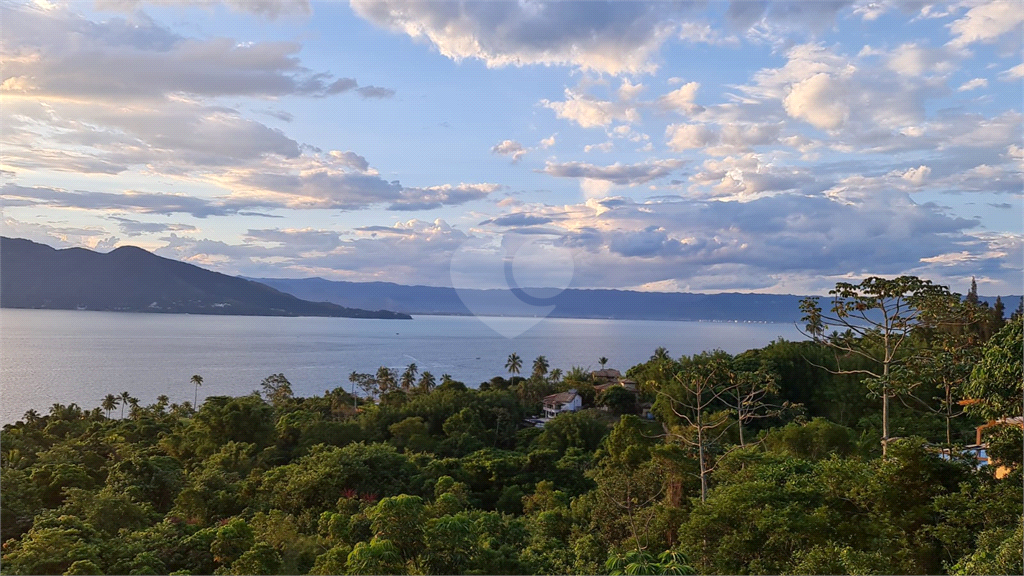 Venda Terreno Ilhabela Siriúba REO821900 19