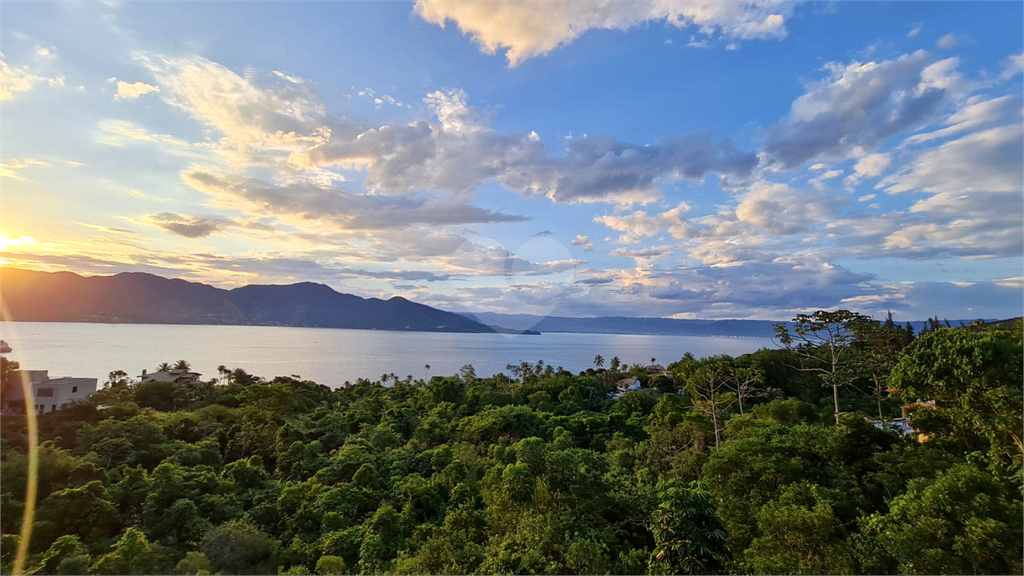 Venda Terreno Ilhabela Siriúba REO821900 22