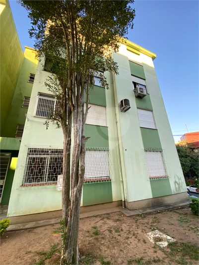 Venda Apartamento Gravataí Salgado Filho REO821903 10