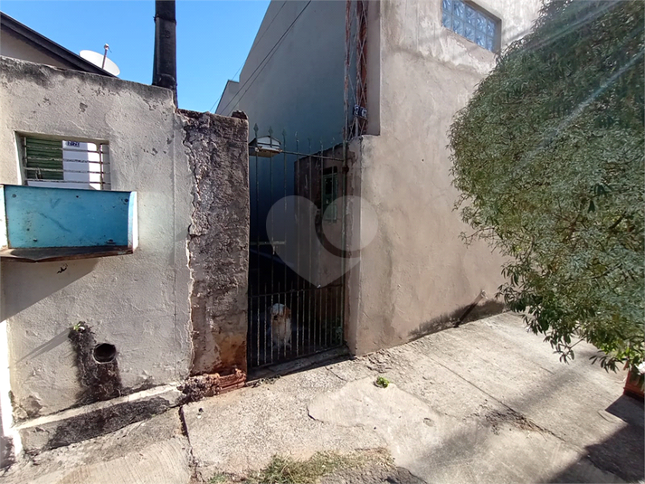 Foto REO822397