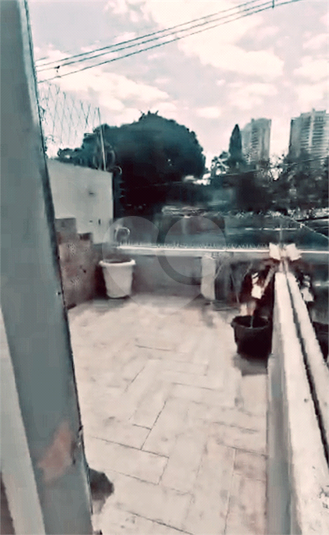 Foto REO822630