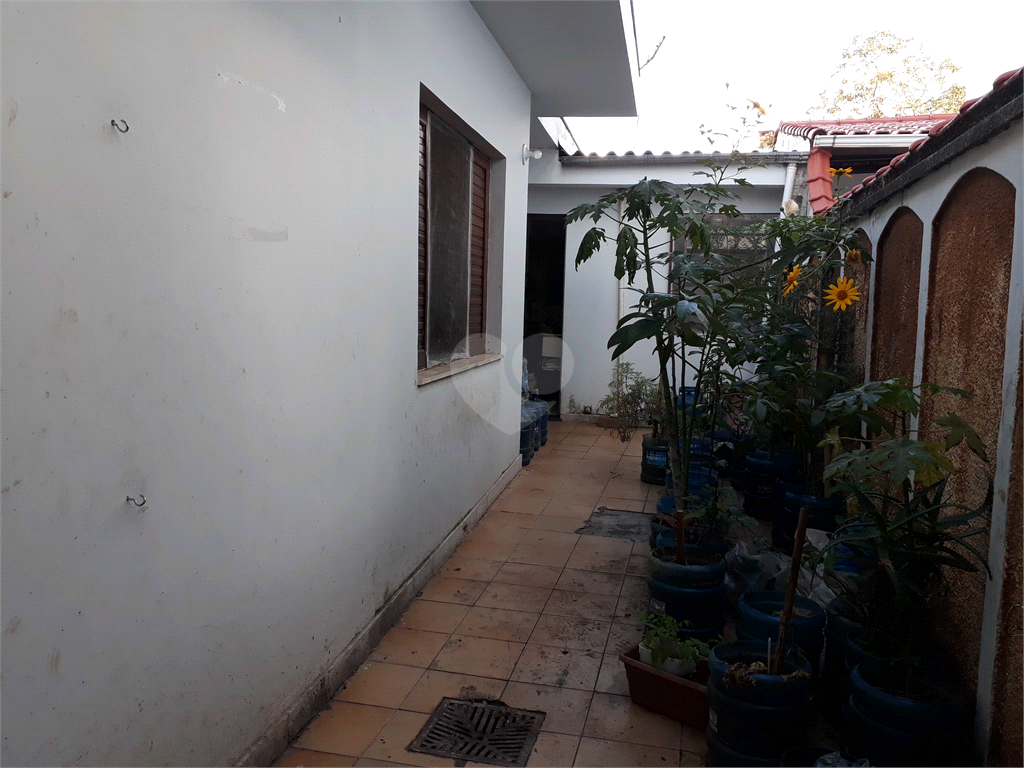 Venda Casa térrea São Paulo Horto Florestal REO822820 34