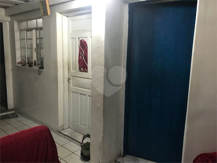 Foto REO822950