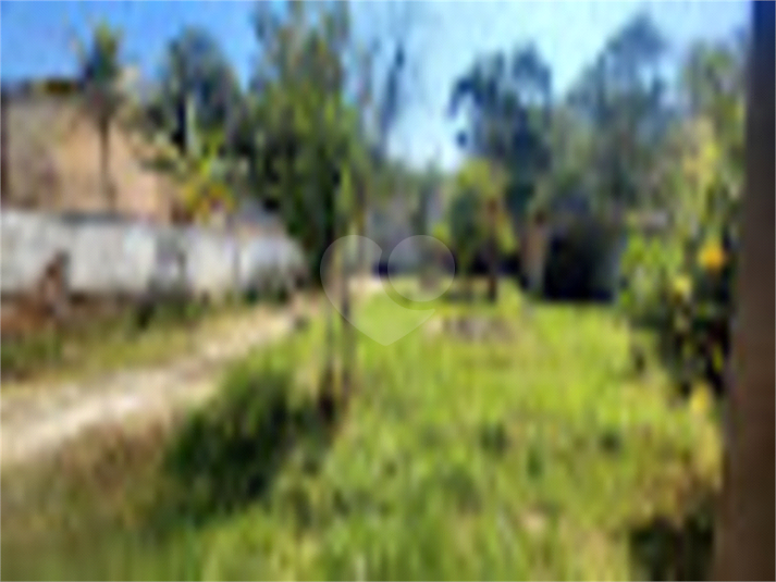 Foto REO823124