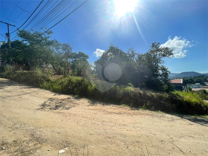 Foto REO824275