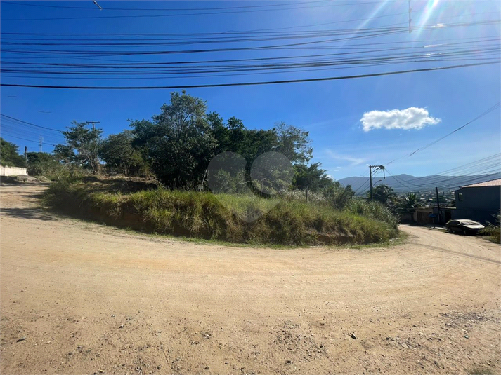 Foto REO824275