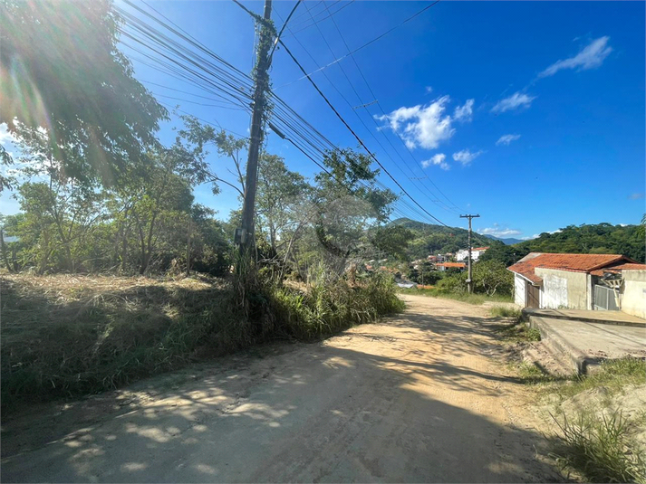 Foto REO824275