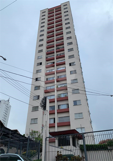 Foto REO824505