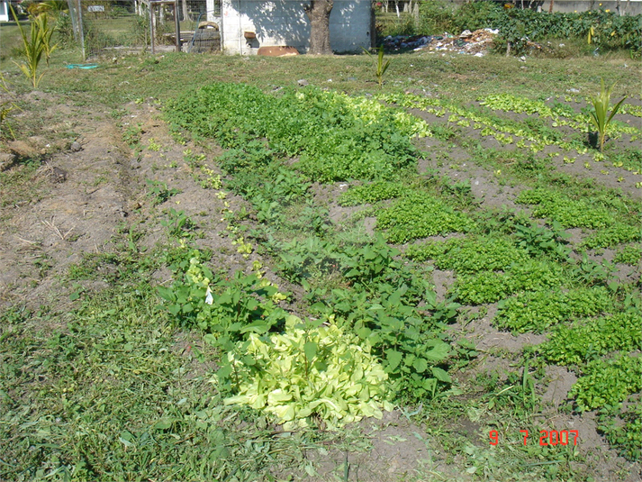 Venda Sítio Rio De Janeiro Santa Cruz REO824622 6