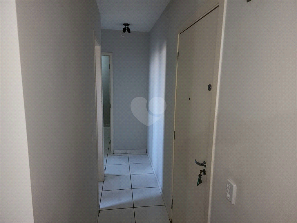 Venda Apartamento Bauru Parque União REO824679 11