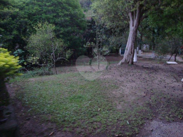 Foto REO82482