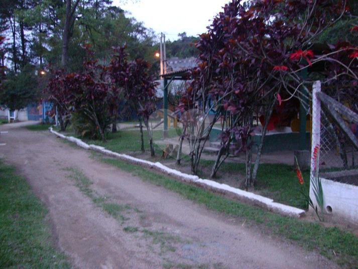 Foto REO82482