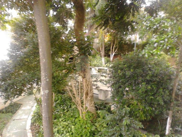 Foto REO8249