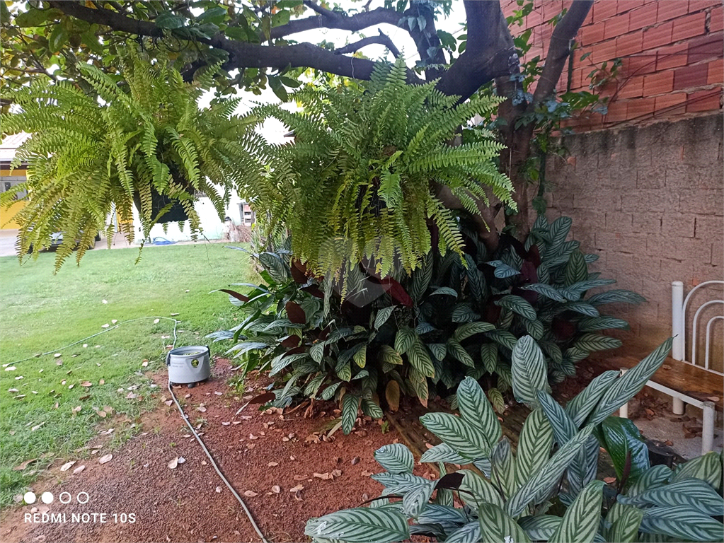 Venda Casa Paulínia João Aranha REO825173 13