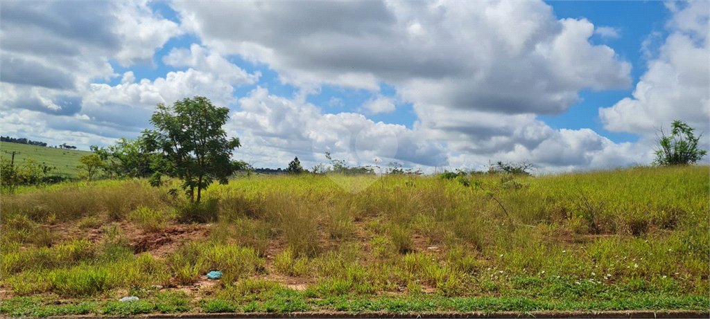 Venda Terreno Bauru Quinta Da Bela Olinda REO825346 1