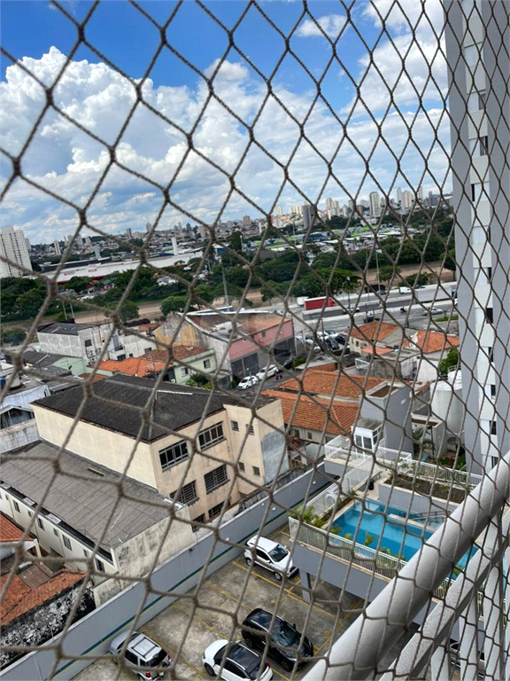 Venda Apartamento São Paulo Alto Do Pari REO825560 10