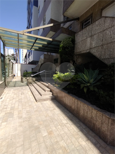 Foto REO825960