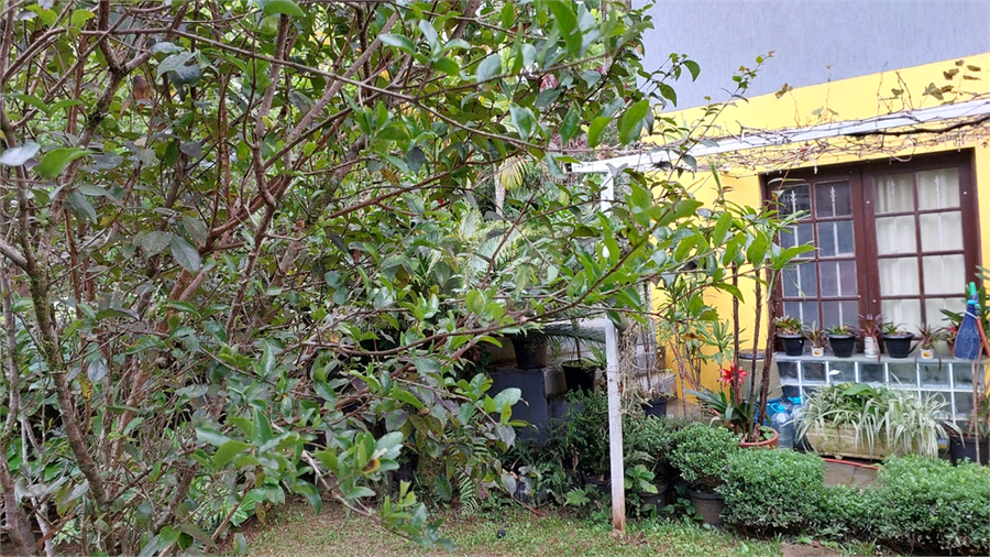 Foto REO826018