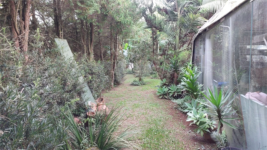 Foto REO826018