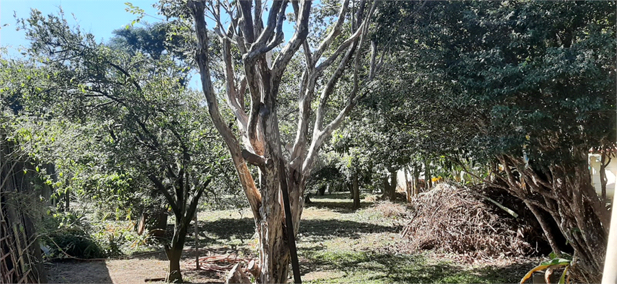 Venda Terreno Itu Vila Guido REO826037 3