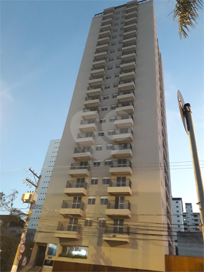 Foto REO826169