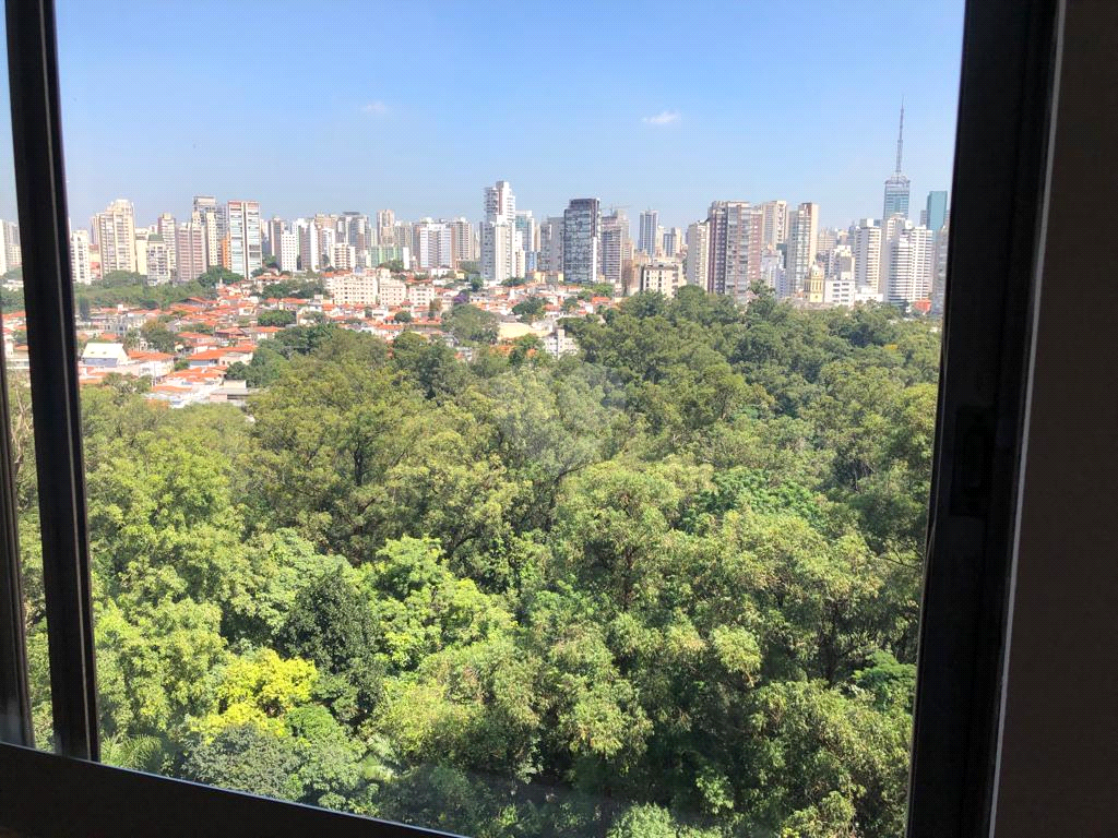 Venda Apartamento São Paulo Cambuci REO826282 3