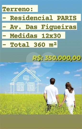 Foto REO826883